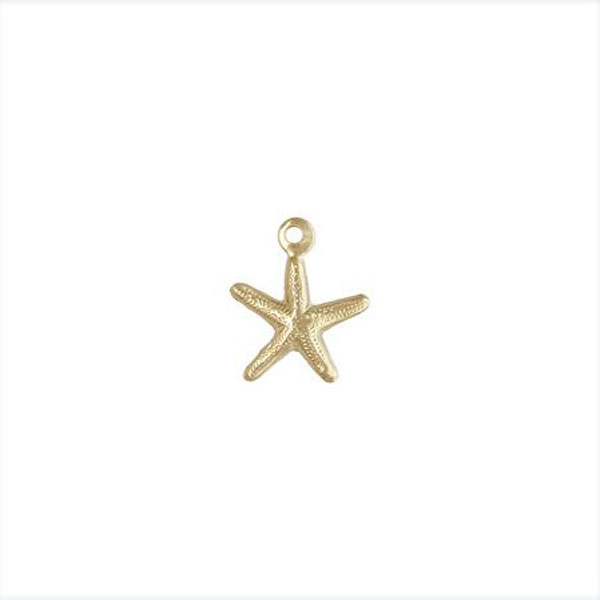 14 K Gold Filled Bedel, Zeester, 8 mm, per stuk