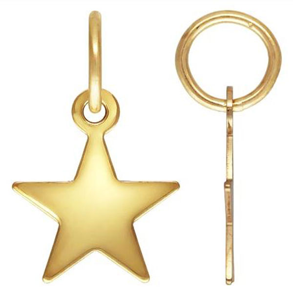 14 K Gold Filled Hooplet – Bedel, Ster, 8 mm, per stuk