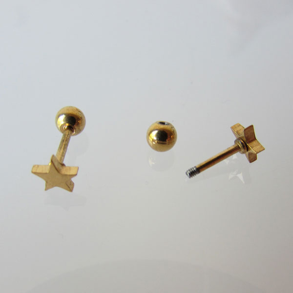 RVS Piercing Oor Ster, Verguld, 6 mm, per stuk