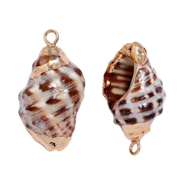 Gold plated hanger, Trompetschelp, bruin, ongeveer 22 mm, per stuk